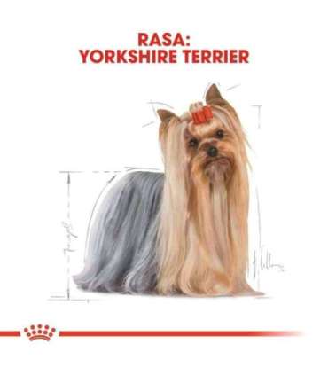 ROYAL CANIN BHN Yorkshire Terrier Adult - dry dog food - 3kg