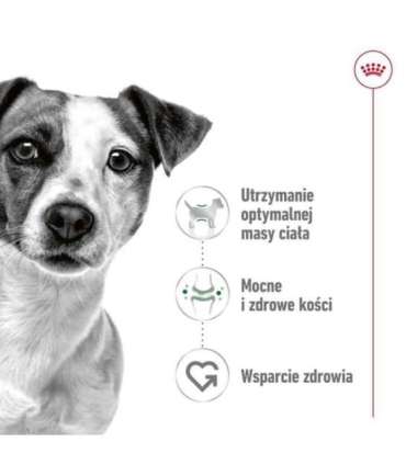 ROYAL CANIN Adult Mini S - dry dog food - 4kg
