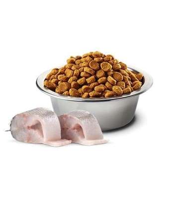 FARMINA N&D Sea Bass, Spirulina and Fennel Adult Mini - dry dog food - 2 kg