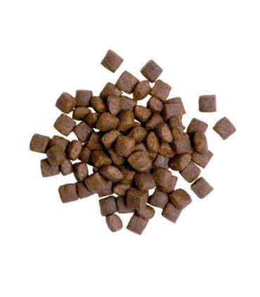 BULT Salmon with trout - dry dog food - 3kg