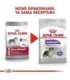 ROYAL CANIN CCN Medium Sterilised  Adult - dry dog food - 12 kg