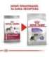 ROYAL CANIN CCN Medium Sterilised  Adult - dry dog food - 12 kg