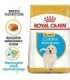 ROYAL CANIN Golden Retriever Puppy - dry dog food - 12 kg