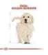 ROYAL CANIN Golden Retriever Puppy - dry dog food - 12 kg