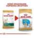 ROYAL CANIN Golden Retriever Puppy - dry dog food - 12 kg
