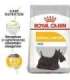 ROYAL CANIN Mini Dermacomfort -  dry food for adult small breeds of dogs with sensitive skin prone to irritation - 3kg