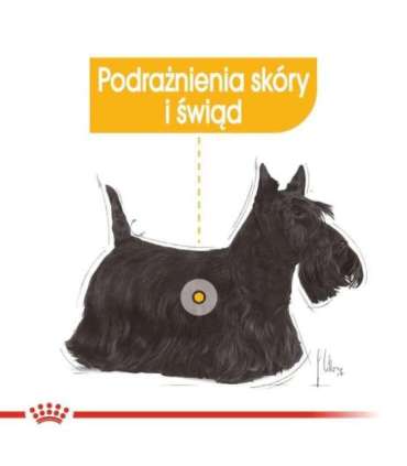 ROYAL CANIN Mini Dermacomfort -  dry food for adult small breeds of dogs with sensitive skin prone to irritation - 3kg