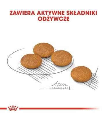 ROYAL CANIN Mini Dermacomfort -  dry food for adult small breeds of dogs with sensitive skin prone to irritation - 3kg