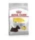 ROYAL CANIN Mini Dermacomfort -  dry food for adult small breeds of dogs with sensitive skin prone to irritation - 3kg