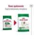 ROYAL CANIN Adult Mini S - dry dog food - 2kg