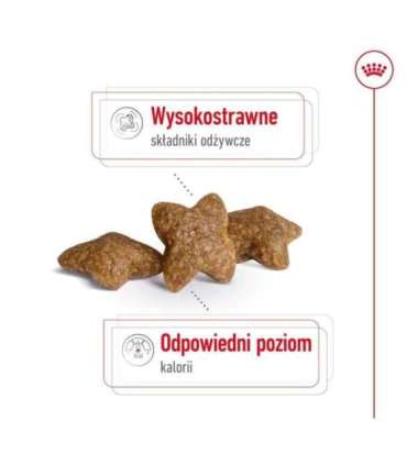 ROYAL CANIN Adult Mini S - dry dog food - 2kg