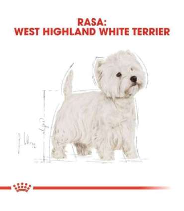 Royal Canin BHN West Highland White Terrier Adult - dry food for adult dogs - 3kg