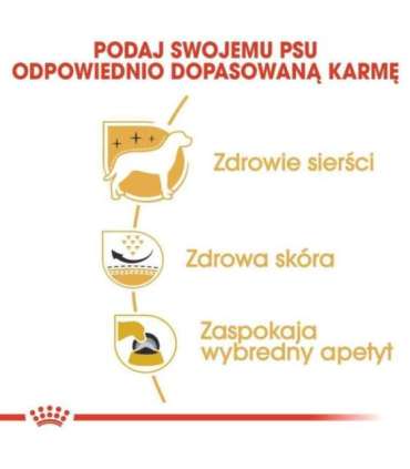 Royal Canin BHN West Highland White Terrier Adult - dry food for adult dogs - 3kg