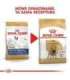 Royal Canin BHN French Bulldog Adult - dry dog food - 9kg