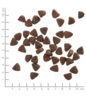 WOLFSBLUT Wild Duck Duck with potatoes - dry dog food - 12,5kg