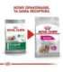 ROYAL CANIN Mini Exigent - dry food for fussy dogs - 1kg