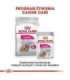 ROYAL CANIN Mini Exigent - dry food for fussy dogs - 1kg