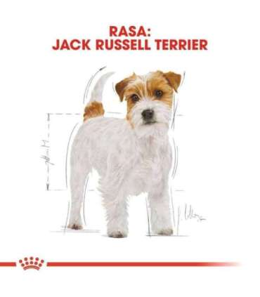 ROYAL CANIN Jack Russell Adult dry dog food - 1.5 kg