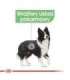 ROYAL CANIN CCN Medium Digestive Care - dry dog food - 3 kg