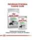 ROYAL CANIN CCN Medium Digestive Care - dry dog food - 3 kg