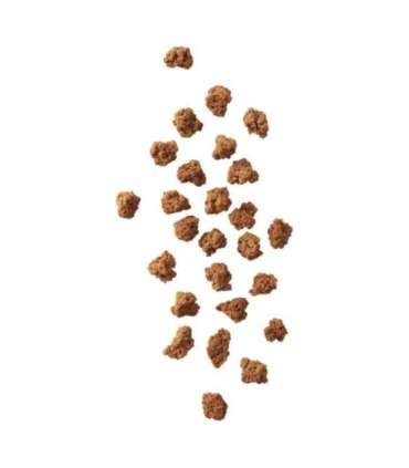 JOHN DOG Air-Dried Beef pops - dog treat - 80g