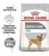 ROYAL CANIN CCN Mini Dental Care - dry food for adult dogs - 3kg