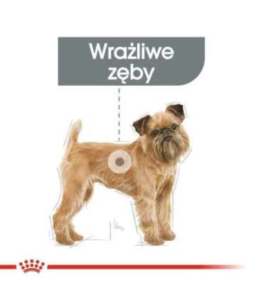 ROYAL CANIN CCN Mini Dental Care - dry food for adult dogs - 3kg