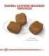 ROYAL CANIN CCN Mini Dental Care - dry food for adult dogs - 3kg