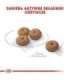 Royal Canin CCN MINI STERILISED - dry food for adult dogs - 8kg