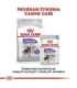 Royal Canin CCN MINI STERILISED - dry food for adult dogs - 8kg