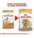 Royal Canin Poodle Adult 1.5 kg