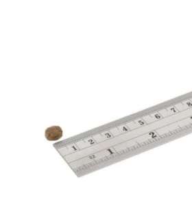 FISH4DOGS Superior Senior S Salmon - dry dog food - 1,5kg