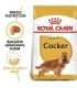 ROYAL CANIN Adult Cocker - dry dog food - 12 kg