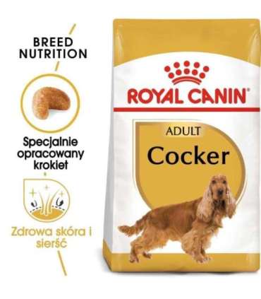 ROYAL CANIN Adult Cocker - dry dog food - 12 kg