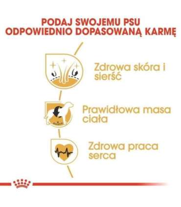 ROYAL CANIN Adult Cocker - dry dog food - 12 kg