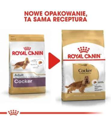 ROYAL CANIN Adult Cocker - dry dog food - 12 kg