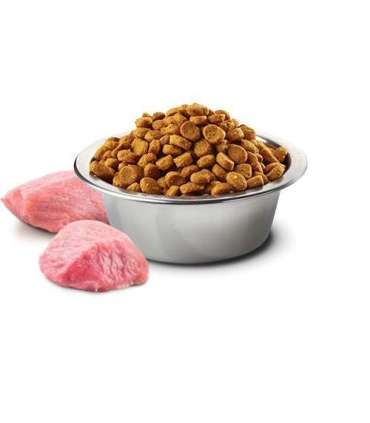 FARMINA N&D Spirulina Lamb Puppy Mini - dry dog food - 2 kg