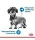 Royal Canin CCN MINI LIGHT WEIGHT CARE - dry food for adult dogs - 3kg