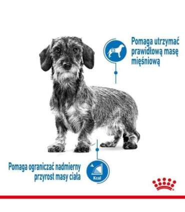 Royal Canin CCN MINI LIGHT WEIGHT CARE - dry food for adult dogs - 3kg