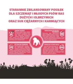 PUPIL PREMIUM JUNIOR XL bogata w wołowinę 12kg