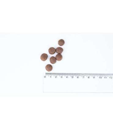 BULT Turkey - dry dog food - 12kg