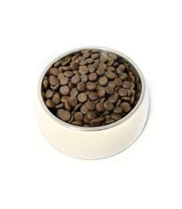 PUPIL PREMIUM INSECT karma sucha dla psa 12kg