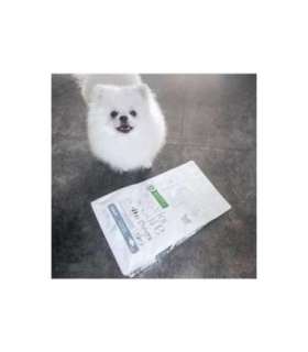 NATURE'S PROTECTION Superior care White Fish Small and mini - dry dog food - 4kg