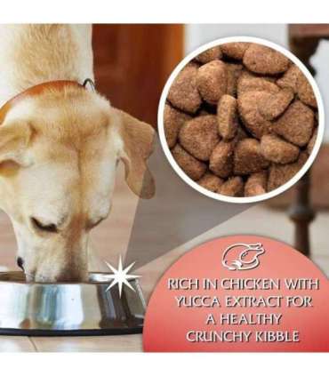 GILPA Kennel - dry dog food - 15kg