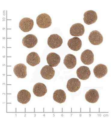 WOLFSBLUT VetLine Weight Management Turkey - dry dog food - 12kg