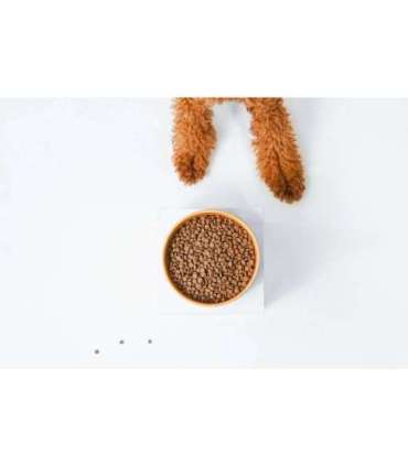 NATURE'S PROTECTION Superior Care Red Coat Adult Small breed Grain free Salmon - dry dog food - 10kg