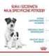 Royal Canin Mini Starter Mother & Babydog Adult Poultry 1 kg