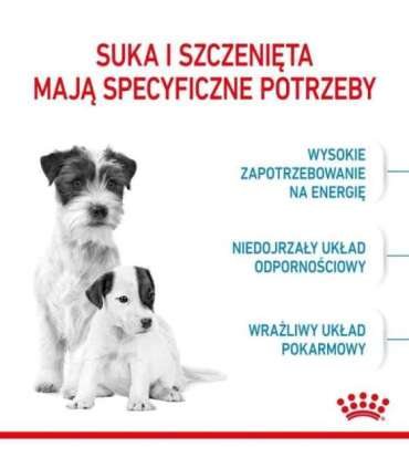 Royal Canin Mini Starter Mother & Babydog Adult Poultry 1 kg