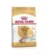Royal Canin Yorkshire Ageing 8+ - dry food for older dogs - 3kg