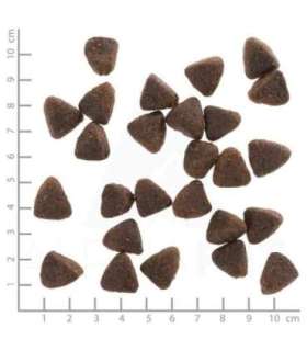 WOLFSBLUT Jack Rabbit - dry dog food - 12,5kg